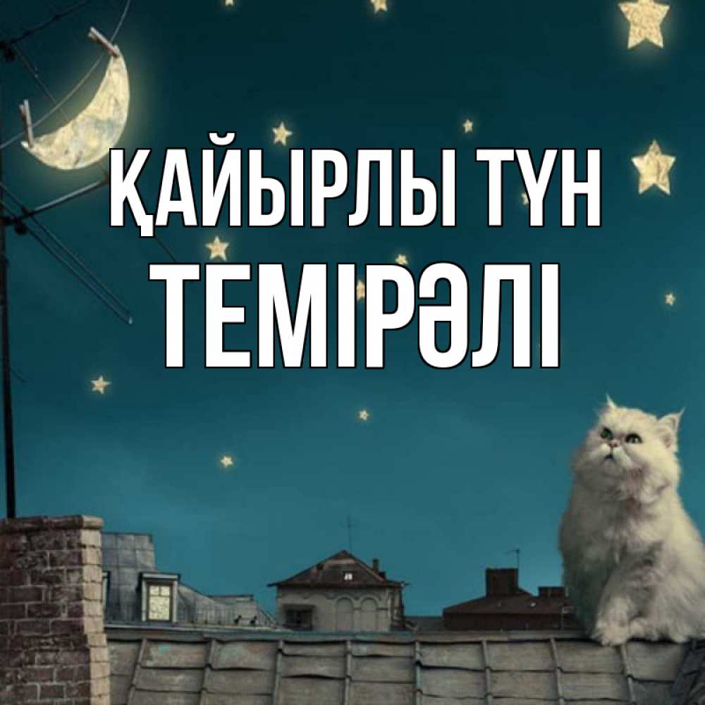 Күн сайын ашық хат с именем, ТЕМІРӘЛІ Қайырлы түн белый кот сидит на крыше Онлайн тегін жүктеп алу тілектері бар керемет карта 