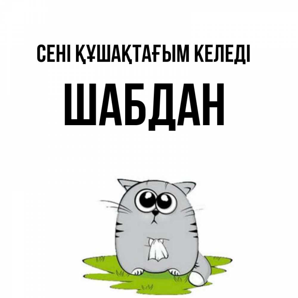 Күн сайын ашық хат с именем, ШАБДАН сені құшақтағым келеді котик теребит платочек сидя на травке Онлайн тегін жүктеп алу тілектері бар керемет карта 
