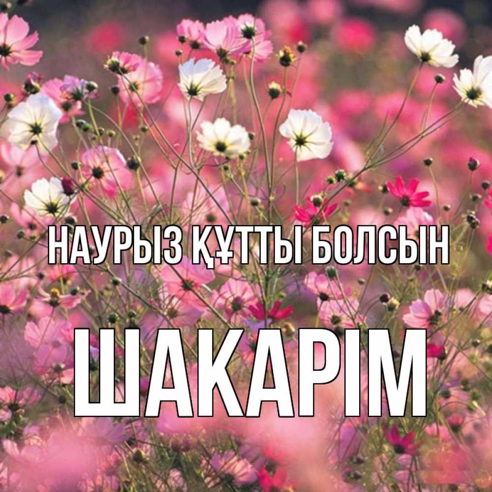 Күн сайын ашық хат с именем, ШАКАРІМ Наурыз құтты болсын красиво 1 Онлайн тегін жүктеп алу тілектері бар керемет карта 