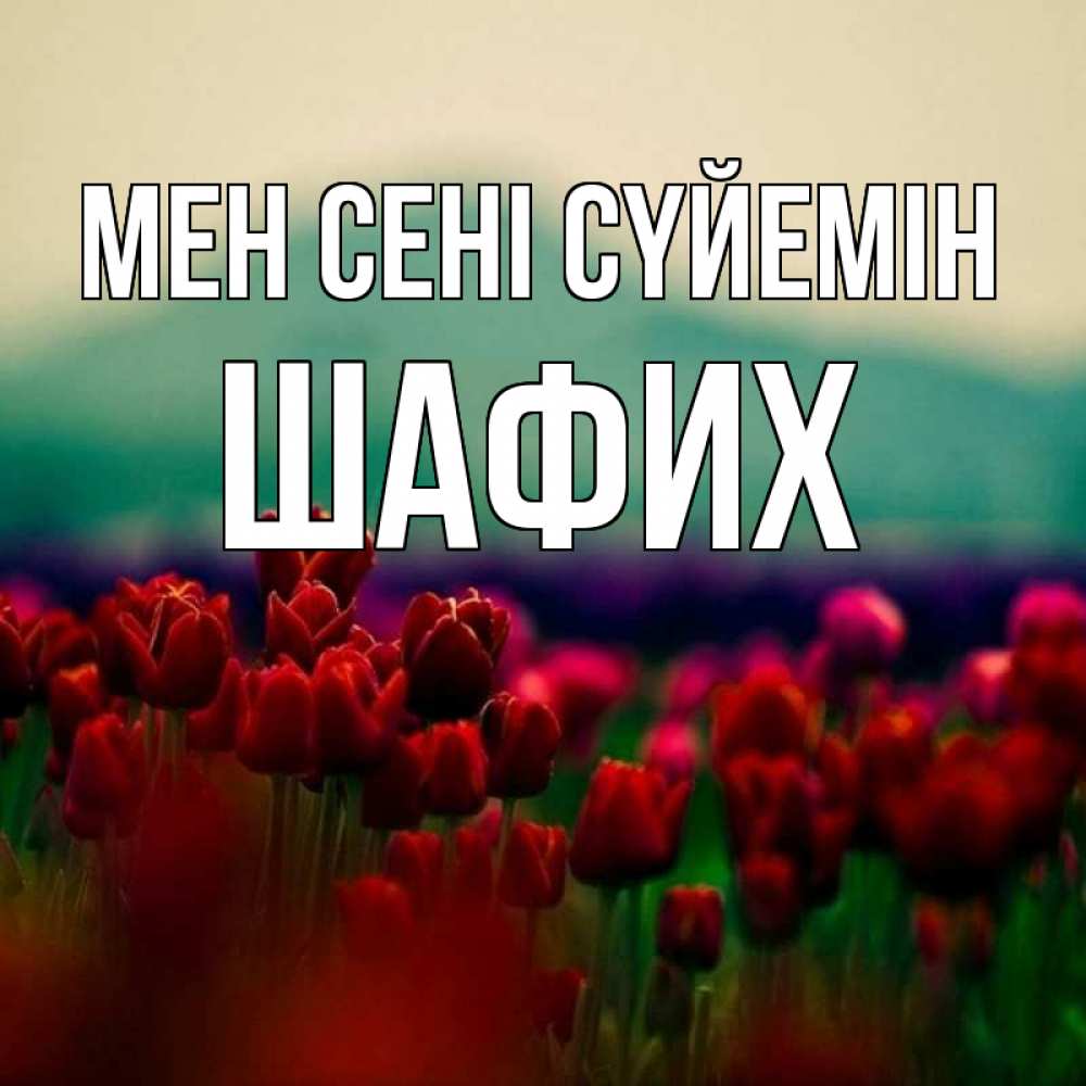 Күн сайын ашық хат с именем, ШАФИХ Мен сені сүйемін тюльпаны 4 Онлайн тегін жүктеп алу тілектері бар керемет карта 
