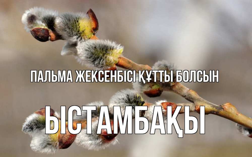 Күн сайын ашық хат с именем, ЫСТАМБАҚЫ Пальма жексенбісі құтты болсын Верба Онлайн тегін жүктеп алу тілектері бар керемет карта 