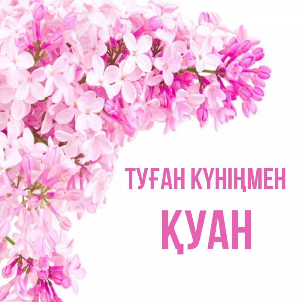 Күн сайын ашық хат с именем, ҚУАН Туған күніңмен Сирень на белом фоне Онлайн тегін жүктеп алу тілектері бар керемет карта 