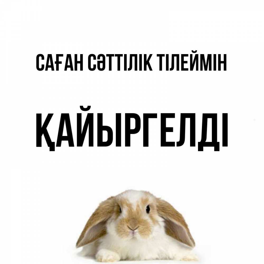 Күн сайын ашық хат с именем, Қайыргелді Саған сәттілік тілеймін открытки с произвольным текстом который можно вставить в открытку и создать ее самостоятельно бесплатно онлайн Онлайн тегін жүктеп алу тілектері бар керемет карта 