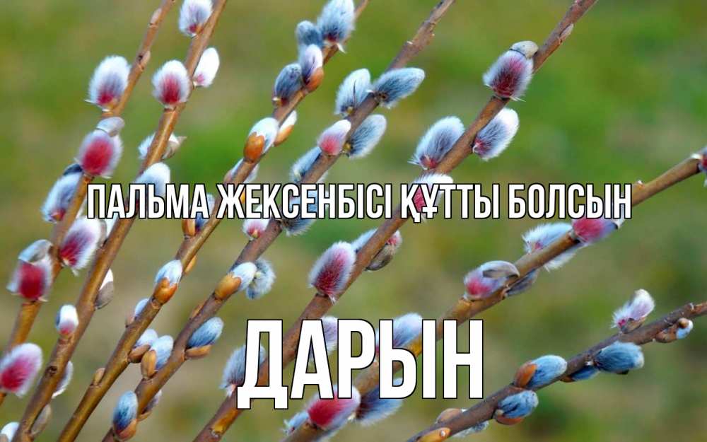 Картинка Пальма жексенбісі құтты болсын, Дарын