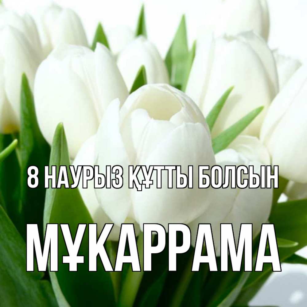 Күн сайын ашық хат с именем, МҰКАРРАМА 8 наурыз құтты болсын цветы Онлайн тегін жүктеп алу тілектері бар керемет карта 
