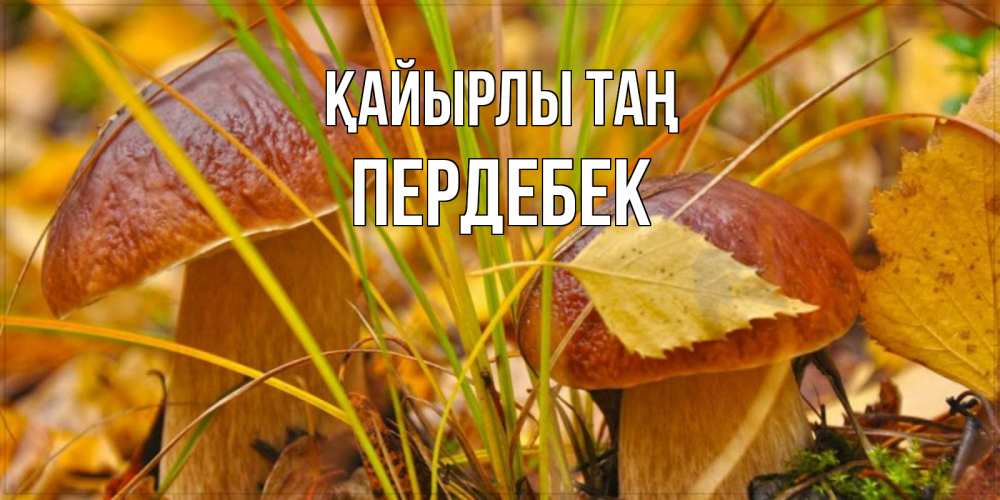 Күн сайын ашық хат с именем, ПЕРДЕБЕК Қайырлы таң осенние грибы Онлайн тегін жүктеп алу тілектері бар керемет карта 