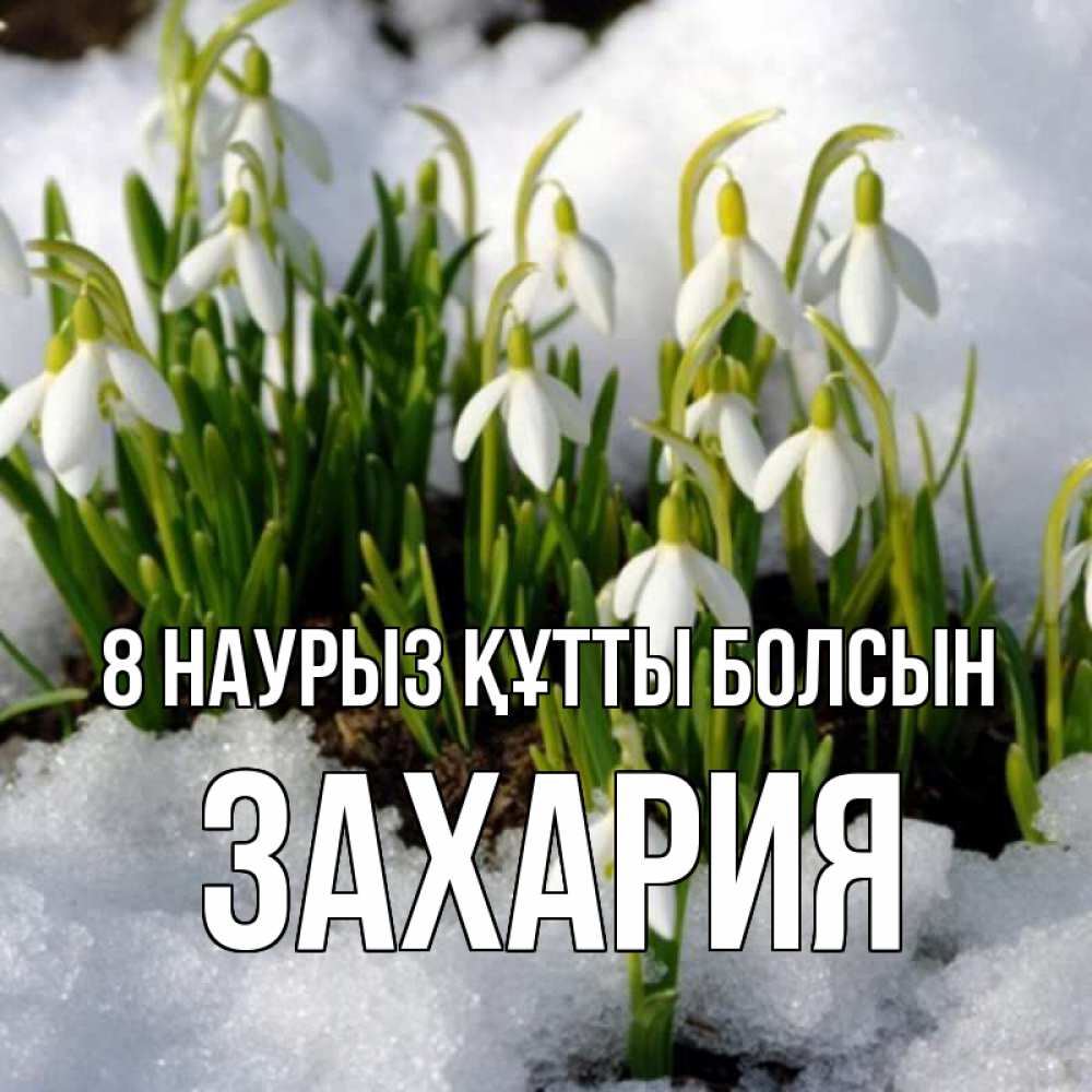 Күн сайын ашық хат с именем, Захария 8 наурыз құтты болсын цветы весенние Онлайн тегін жүктеп алу тілектері бар керемет карта 