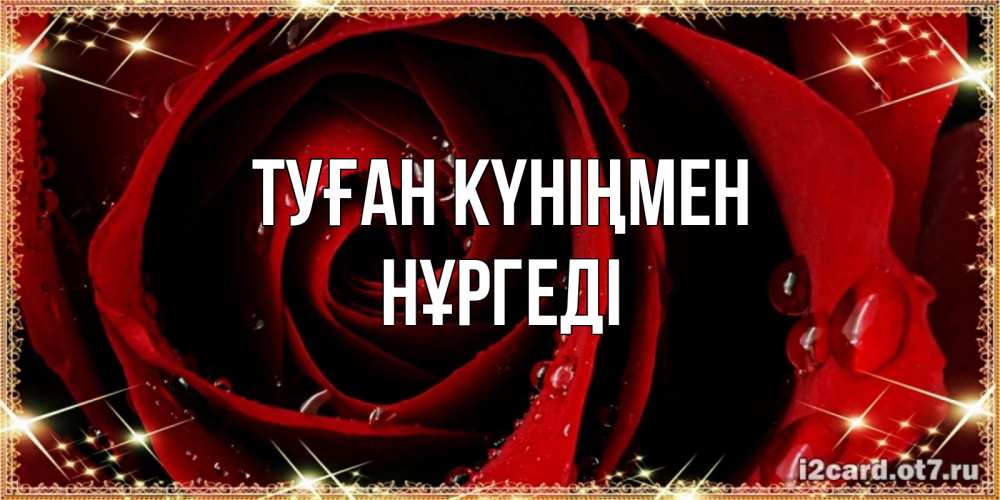 Күн сайын ашық хат с именем, НҰРГЕДІ Туған күніңмен цветок в росе на день рождения Онлайн тегін жүктеп алу тілектері бар керемет карта 
