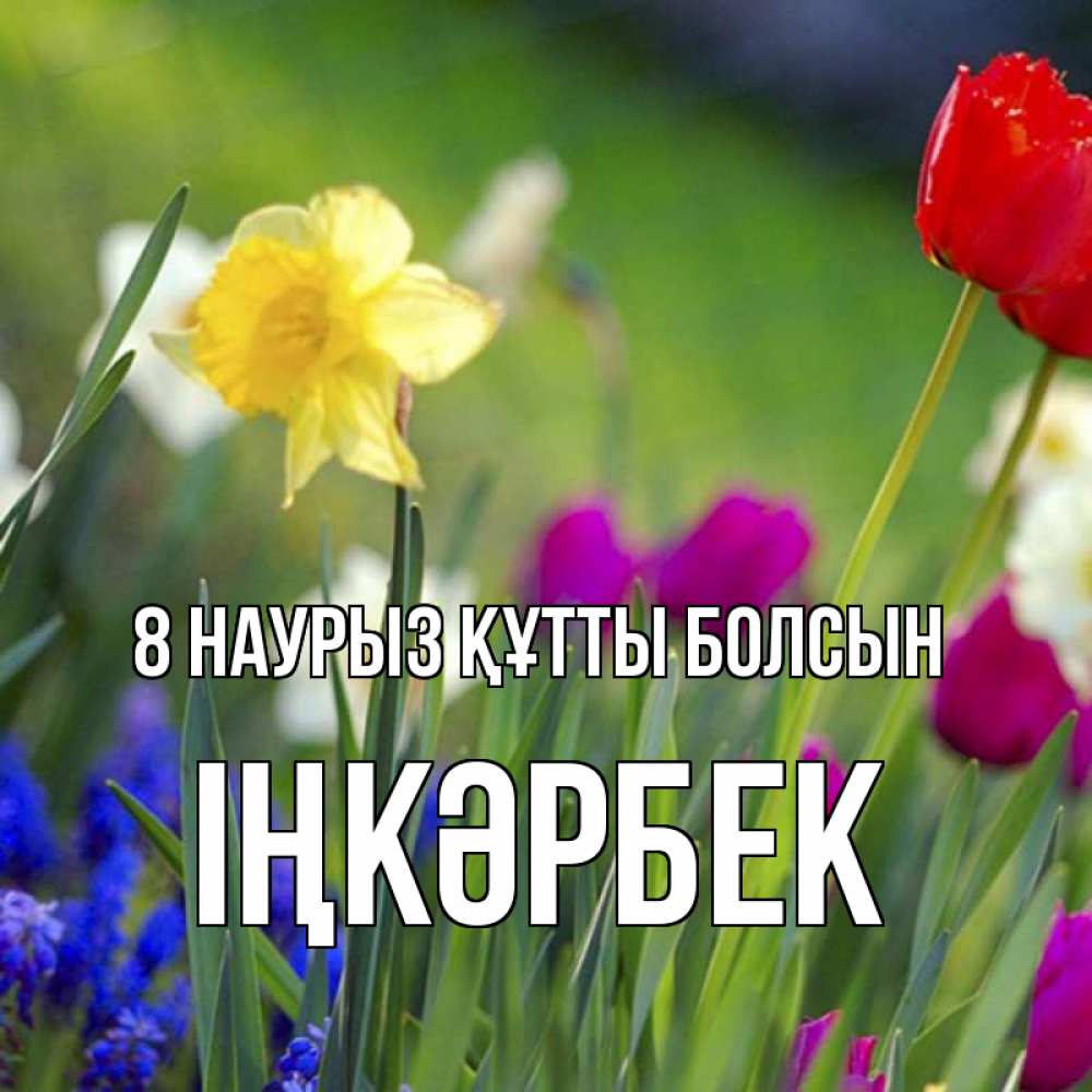 Күн сайын ашық хат с именем, ІҢКӘРБЕК 8 наурыз құтты болсын международный женский день 3 Онлайн тегін жүктеп алу тілектері бар керемет карта 
