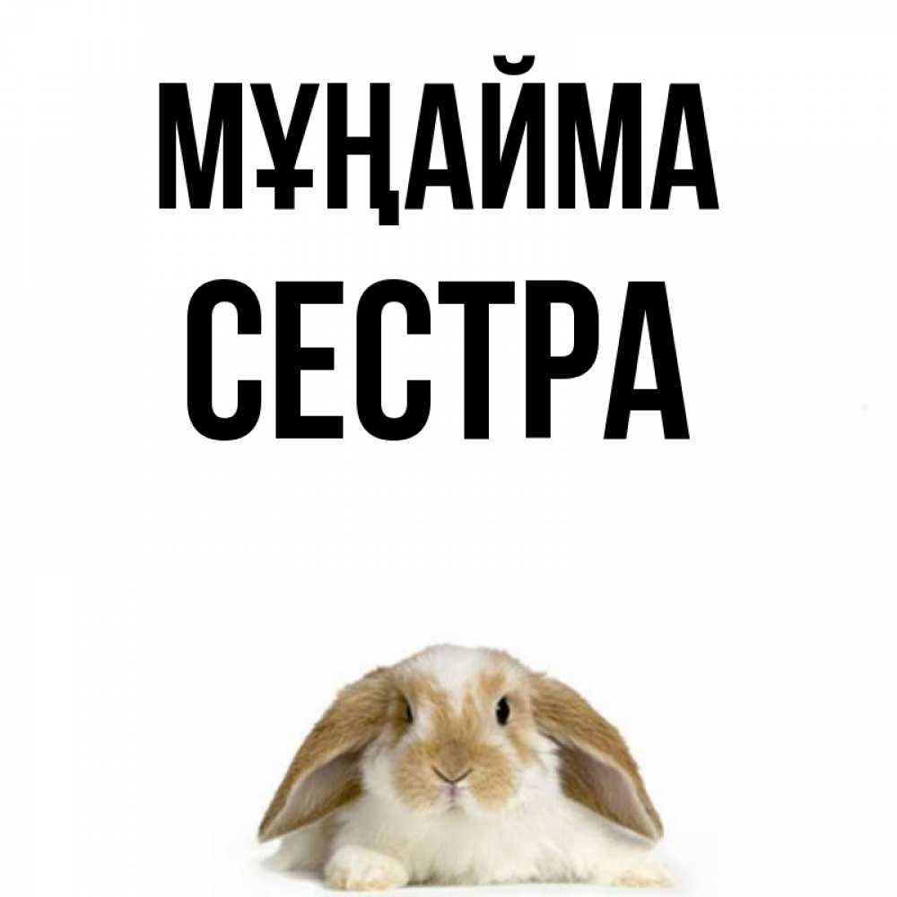 Күн сайын ашық хат с именем, Сестра Мұңайма коричнево белый заяц с большими ушками Онлайн тегін жүктеп алу тілектері бар керемет карта 