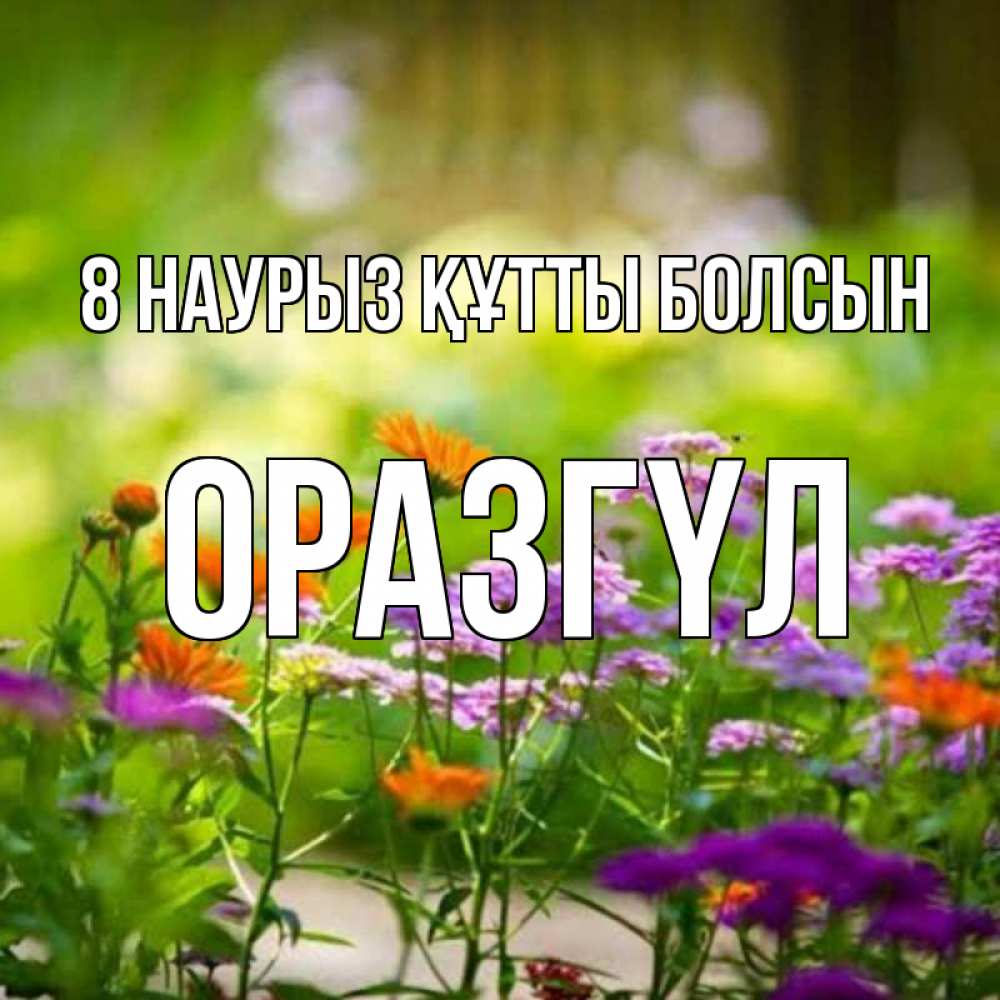 Күн сайын ашық хат с именем, ОРАЗГҮЛ 8 наурыз құтты болсын цветы Онлайн тегін жүктеп алу тілектері бар керемет карта 