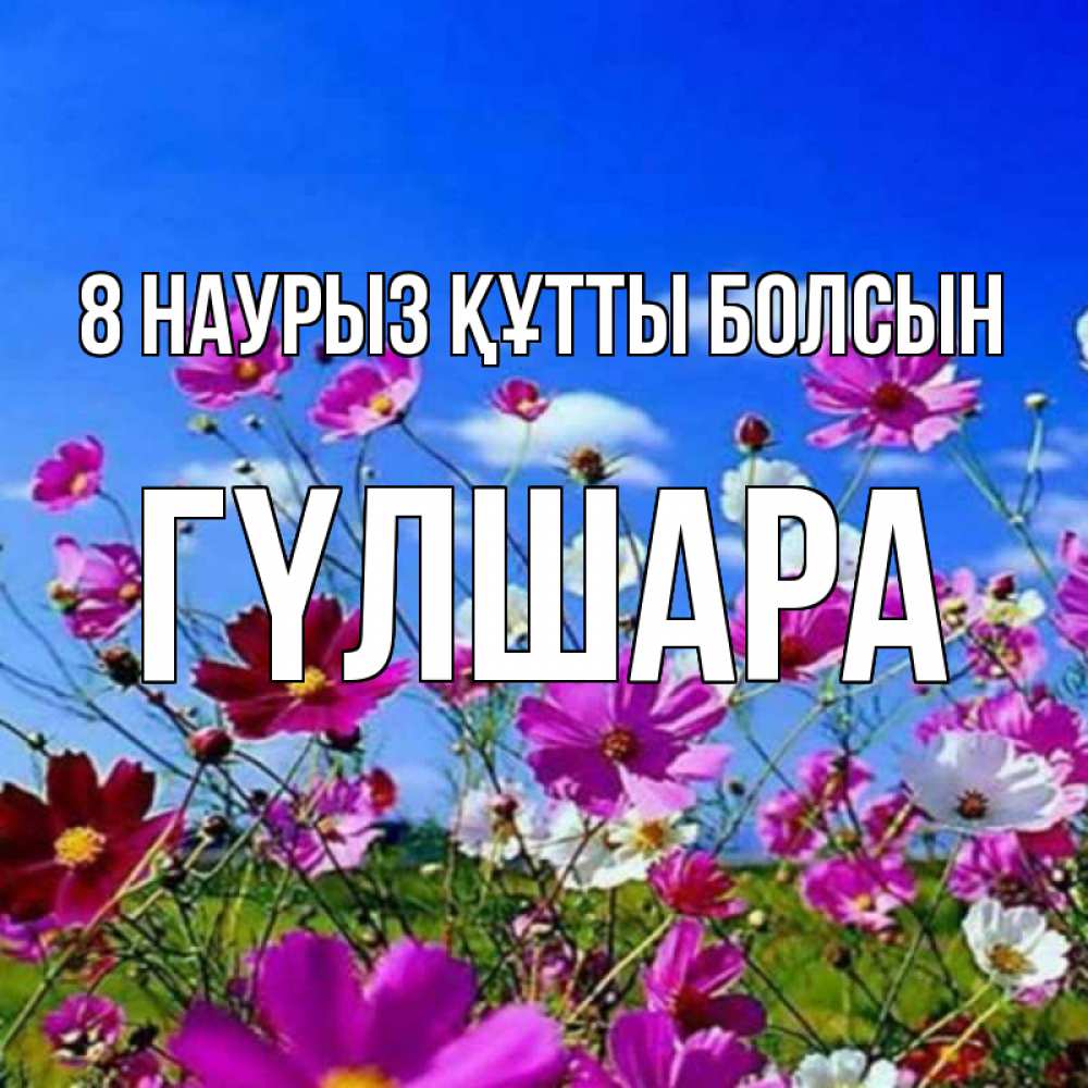 Күн сайын ашық хат с именем, ГҮЛШАРА 8 наурыз құтты болсын цветы Онлайн тегін жүктеп алу тілектері бар керемет карта 