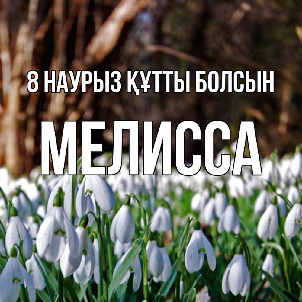 Күн сайын ашық хат с именем, Мелисса 8 наурыз құтты болсын с подснежниками 1 Онлайн тегін жүктеп алу тілектері бар керемет карта 