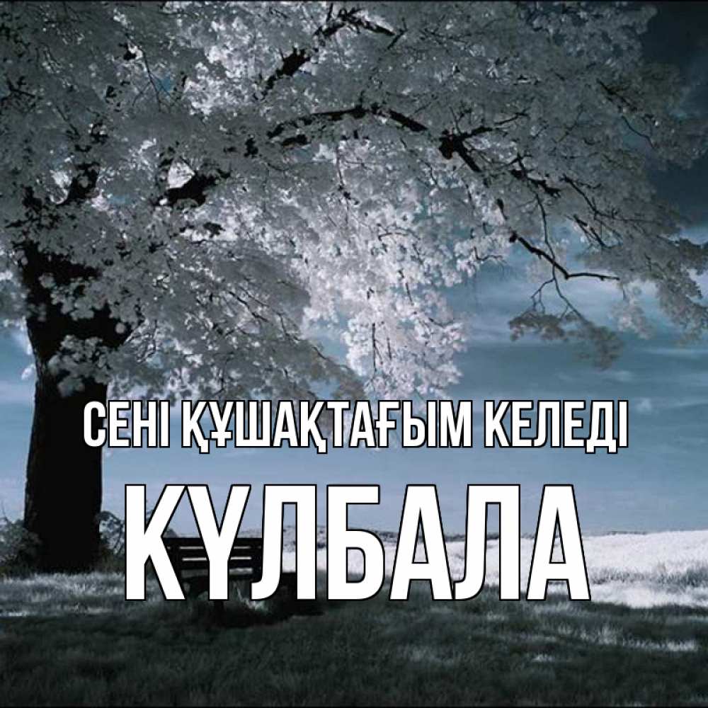 Күн сайын ашық хат с именем, Күлбала сені құшақтағым келеді дерево Онлайн тегін жүктеп алу тілектері бар керемет карта 