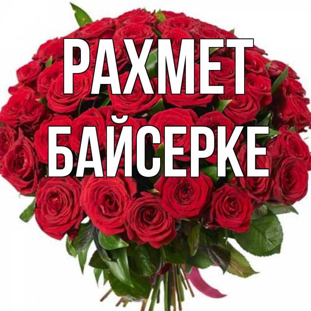 Күн сайын ашық хат с именем, Байсерке рахмет букет красных роз Онлайн тегін жүктеп алу тілектері бар керемет карта 