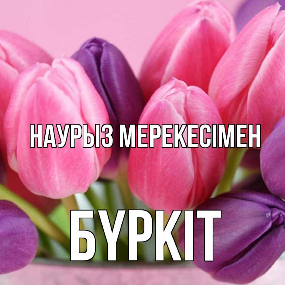 Күн сайын ашық хат с именем, Бүркіт Наурыз мерекесімен маме 1 Онлайн тегін жүктеп алу тілектері бар керемет карта 