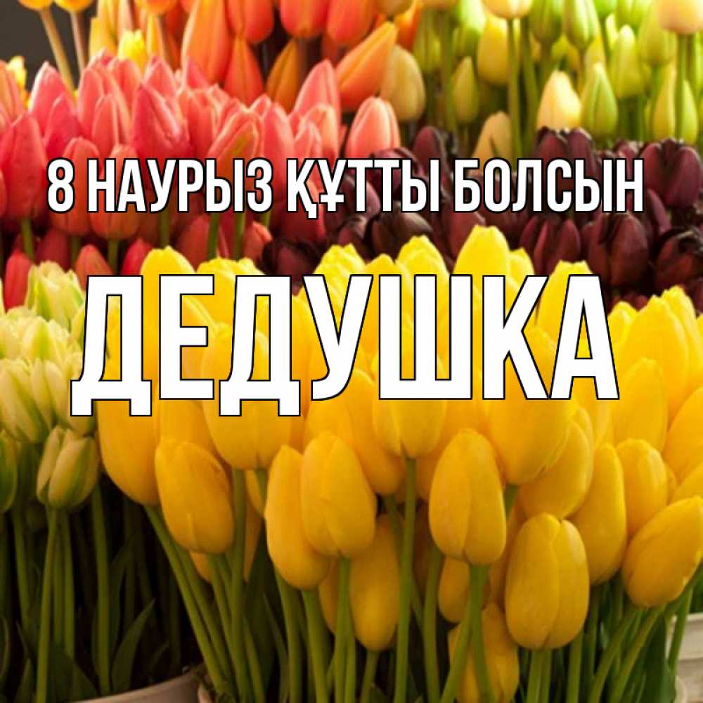Күн сайын ашық хат с именем, Дедушка 8 наурыз құтты болсын цветы Онлайн тегін жүктеп алу тілектері бар керемет карта 