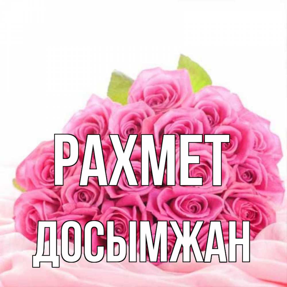 Күн сайын ашық хат с именем, Досымжан рахмет розовые розы с подписью Онлайн тегін жүктеп алу тілектері бар керемет карта 