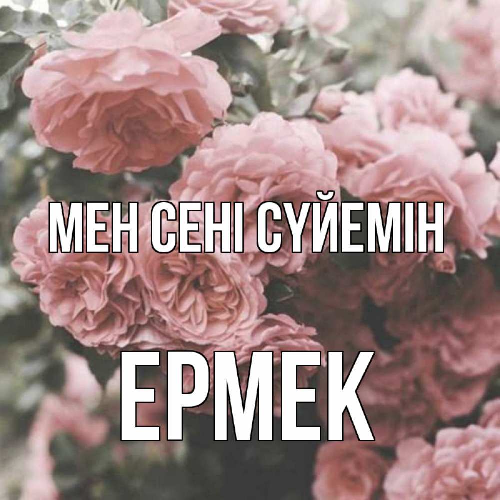 Күн сайын ашық хат с именем, Ермек Мен сені сүйемін розы 3 Онлайн тегін жүктеп алу тілектері бар керемет карта 
