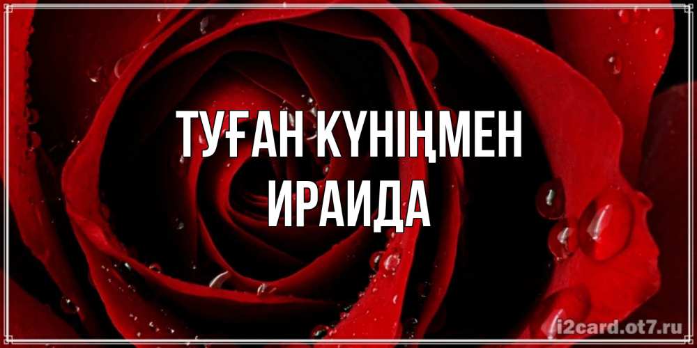 Күн сайын ашық хат с именем, Ираида Туған күніңмен крупная бордовая роза Онлайн тегін жүктеп алу тілектері бар керемет карта 