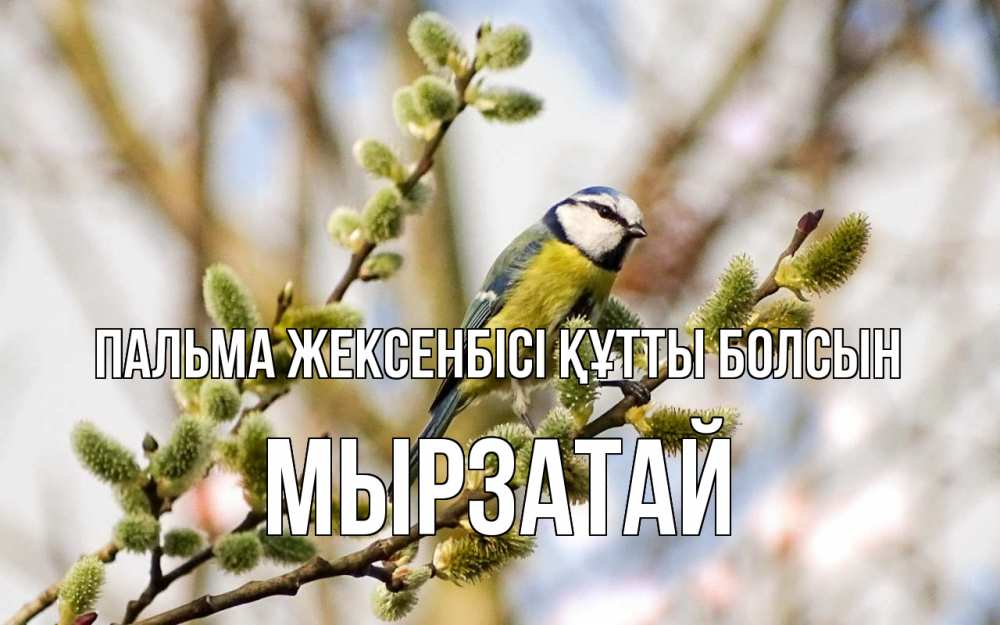 Күн сайын ашық хат с именем, Мырзатай Пальма жексенбісі құтты болсын верба Онлайн тегін жүктеп алу тілектері бар керемет карта 