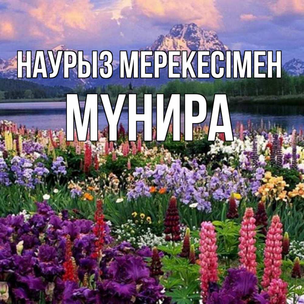 Күн сайын ашық хат с именем, МҮНИРА Наурыз мерекесімен праздник весны наурыз Онлайн тегін жүктеп алу тілектері бар керемет карта 