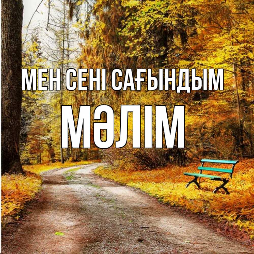 Күн сайын ашық хат с именем, МӘЛІМ Мен сені сағындым зеленая лавочка и осенний лес Онлайн тегін жүктеп алу тілектері бар керемет карта 