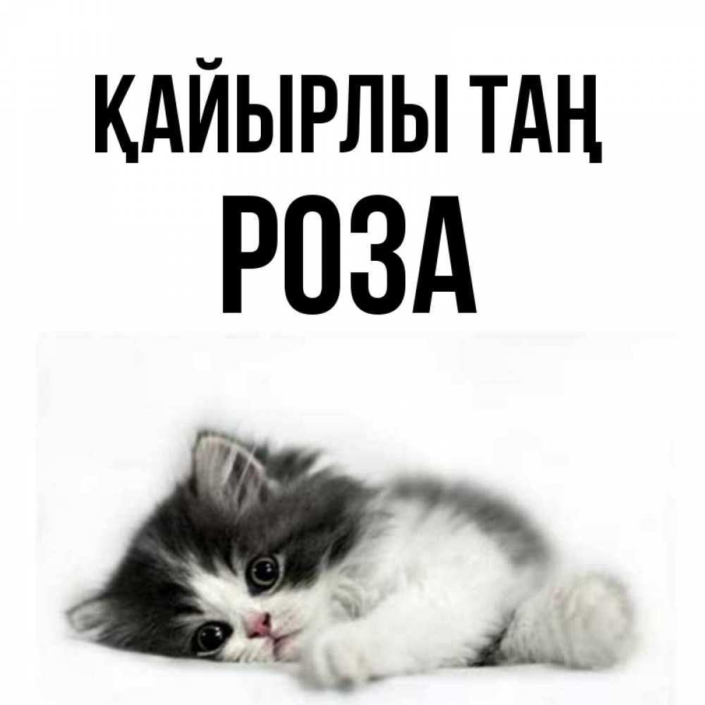 Күн сайын ашық хат с именем, РОЗА Қайырлы таң кот лапки Онлайн тегін жүктеп алу тілектері бар керемет карта 