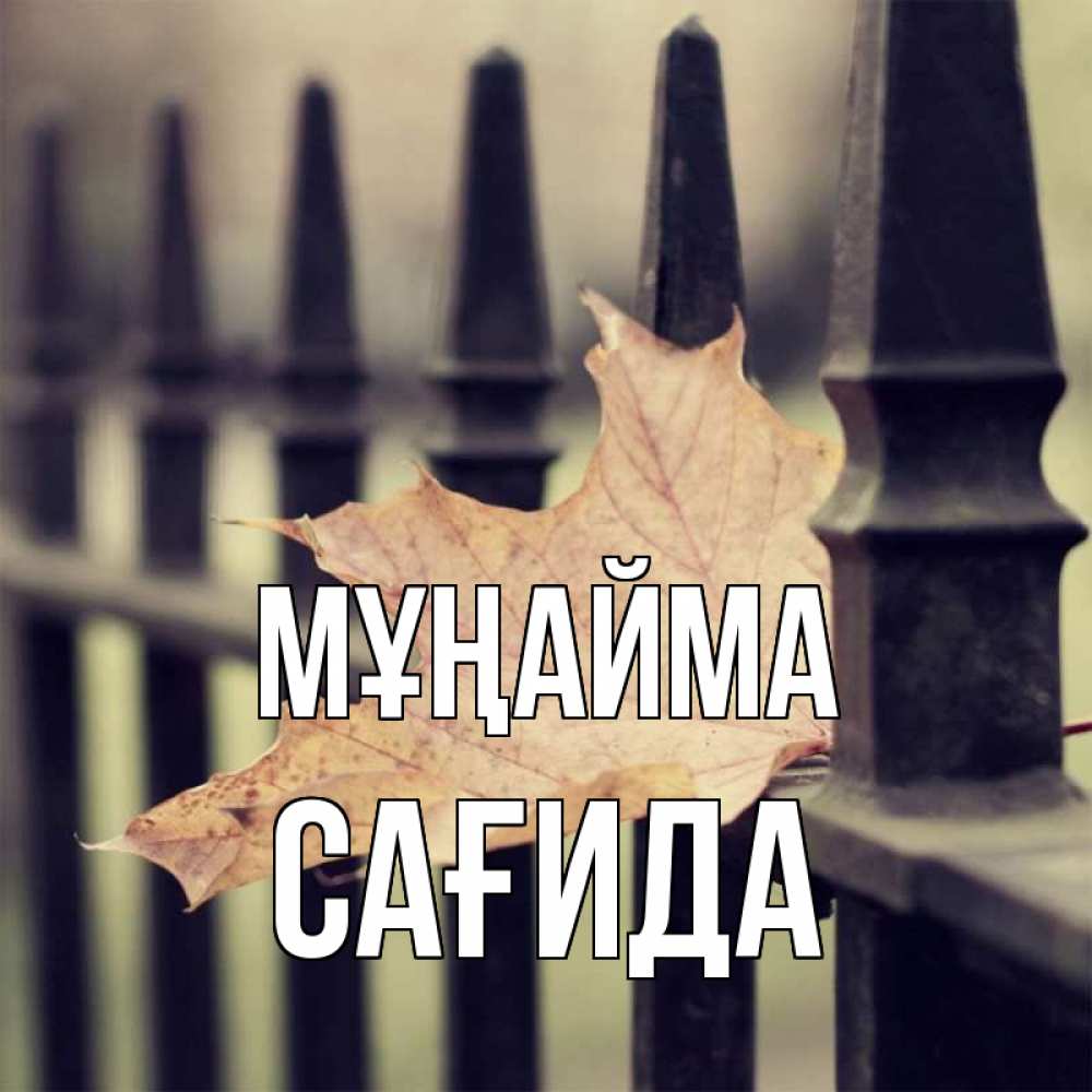 Күн сайын ашық хат с именем, САҒИДА Мұңайма лист клена Онлайн тегін жүктеп алу тілектері бар керемет карта 