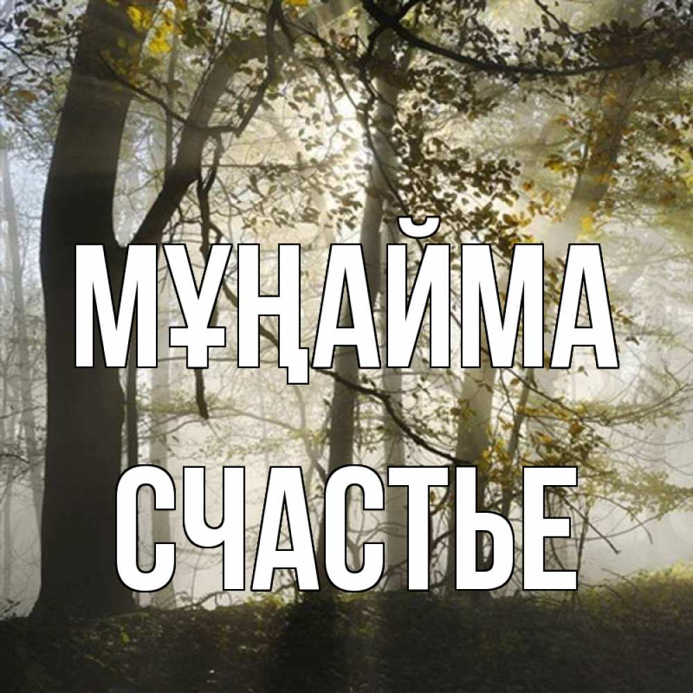 Күн сайын ашық хат с именем, Счастье Мұңайма лес и свет Онлайн тегін жүктеп алу тілектері бар керемет карта 