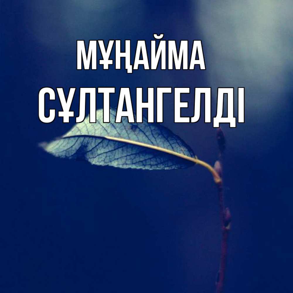 Күн сайын ашық хат с именем, СҰЛТАНГЕЛДІ Мұңайма растение Онлайн тегін жүктеп алу тілектері бар керемет карта 