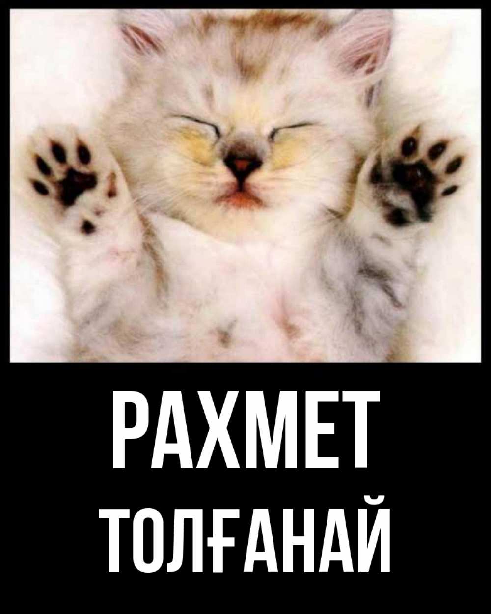 Күн сайын ашық хат с именем, ТОЛҒАНАЙ рахмет маленький котенок Онлайн тегін жүктеп алу тілектері бар керемет карта 