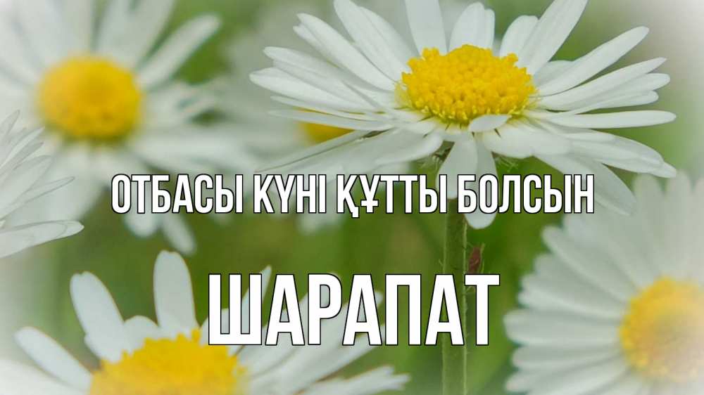Күн сайын ашық хат с именем, ШАРАПАТ отбасы күні құтты болсын с днем семьи  1 Онлайн тегін жүктеп алу тілектері бар керемет карта 
