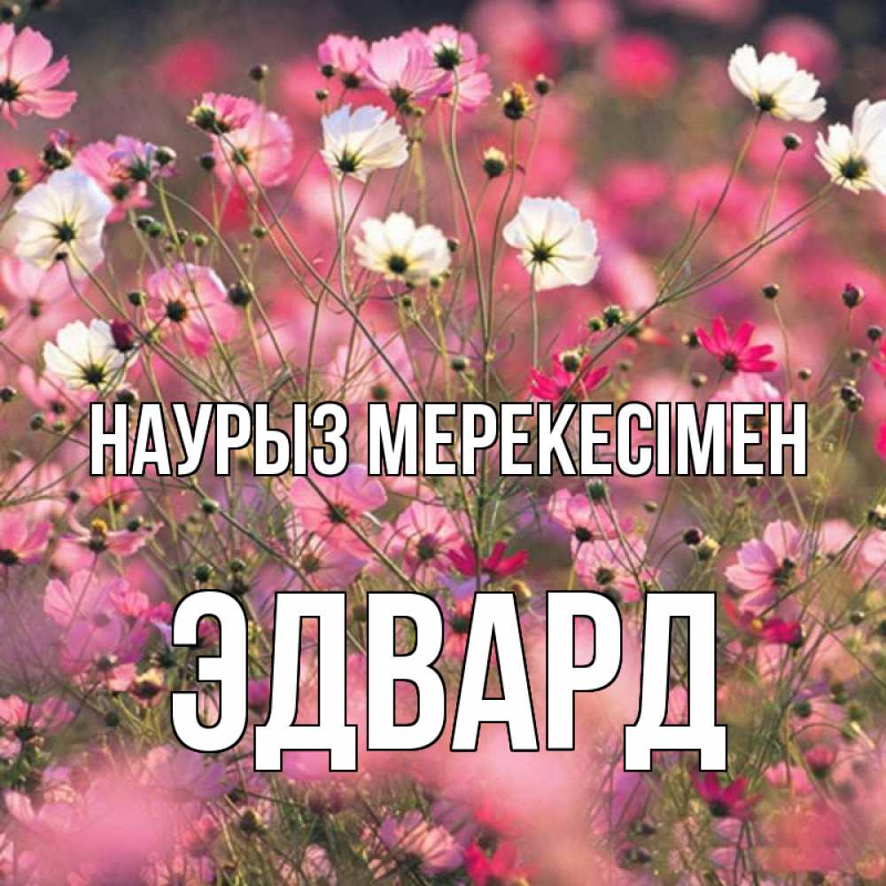 Күн сайын ашық хат с именем, Эдвард Наурыз мерекесімен красиво 1 Онлайн тегін жүктеп алу тілектері бар керемет карта 