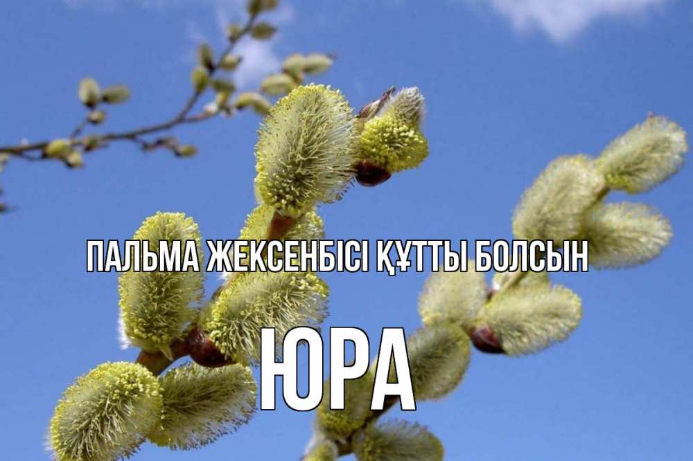 Күн сайын ашық хат с именем, Юра Пальма жексенбісі құтты болсын верба Онлайн тегін жүктеп алу тілектері бар керемет карта 