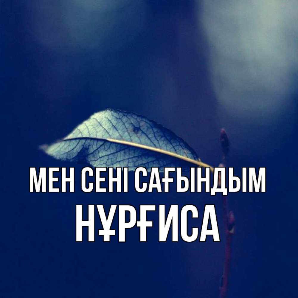 Күн сайын ашық хат с именем, НҰРҒИСА Мен сені сағындым одна ветка 1 Онлайн тегін жүктеп алу тілектері бар керемет карта 