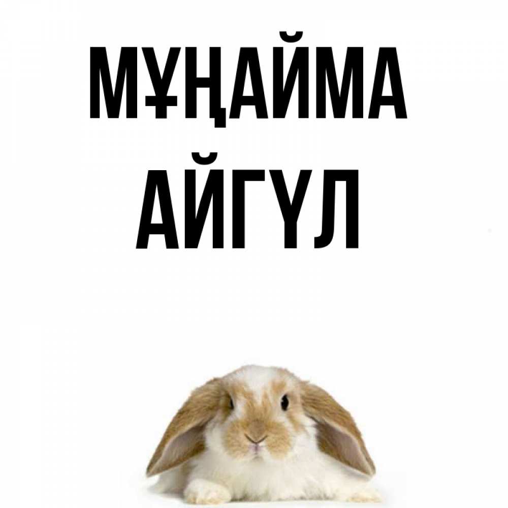 Күн сайын ашық хат с именем, АЙГҮЛ Мұңайма коричнево белый заяц с большими ушками Онлайн тегін жүктеп алу тілектері бар керемет карта 