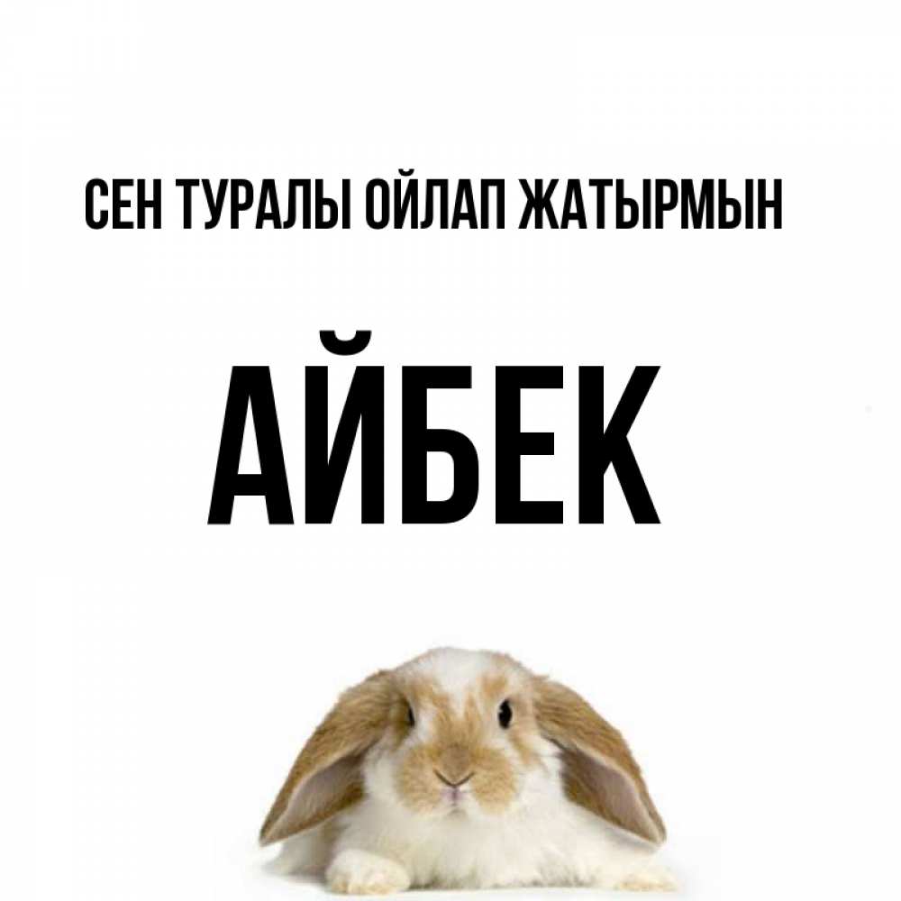 Күн сайын ашық хат с именем, Айбек Сен туралы ойлап жатырмын подписать своими руками онлайн Онлайн тегін жүктеп алу тілектері бар керемет карта 
