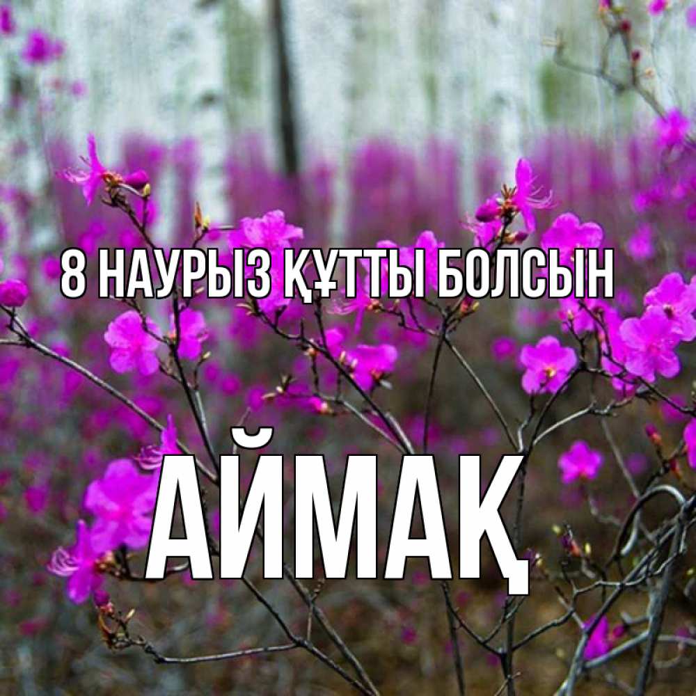 Күн сайын ашық хат с именем, Аймақ 8 наурыз құтты болсын дикие цветы Онлайн тегін жүктеп алу тілектері бар керемет карта 