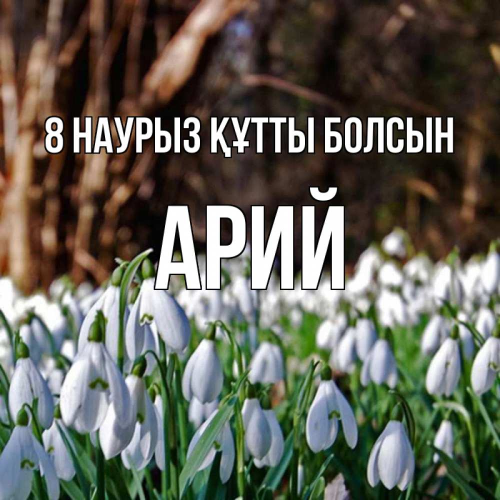 Күн сайын ашық хат с именем, Арий 8 наурыз құтты болсын с подснежниками 1 Онлайн тегін жүктеп алу тілектері бар керемет карта 
