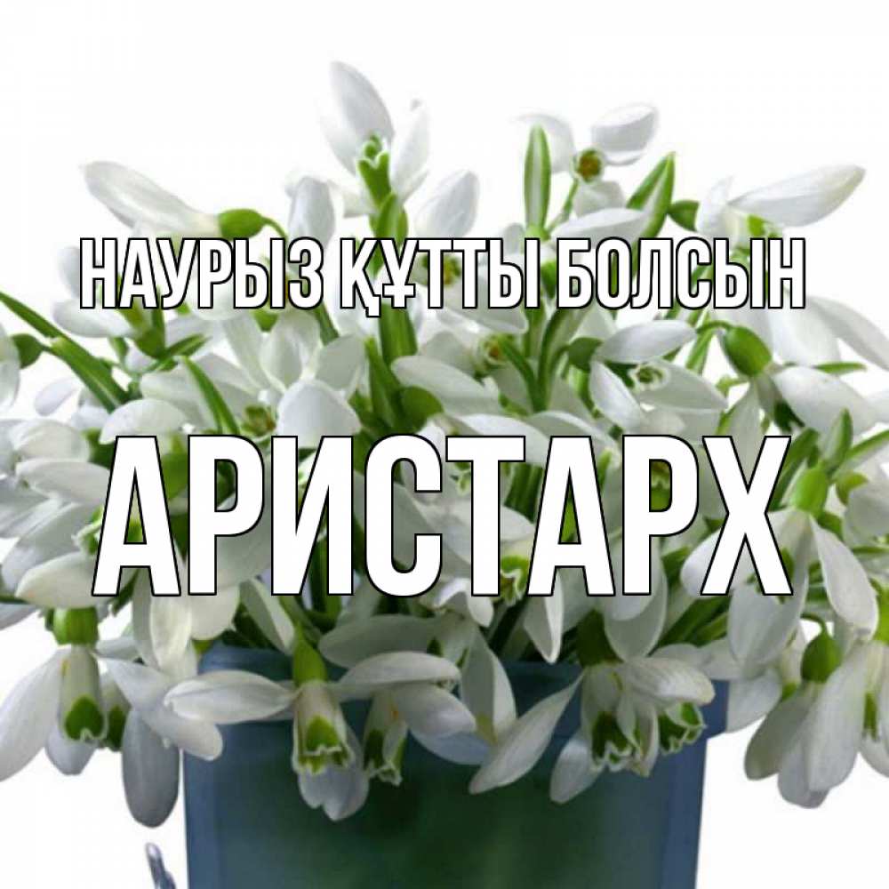 Күн сайын ашық хат с именем, Аристарх Наурыз құтты болсын цветы к наурызу Онлайн тегін жүктеп алу тілектері бар керемет карта 
