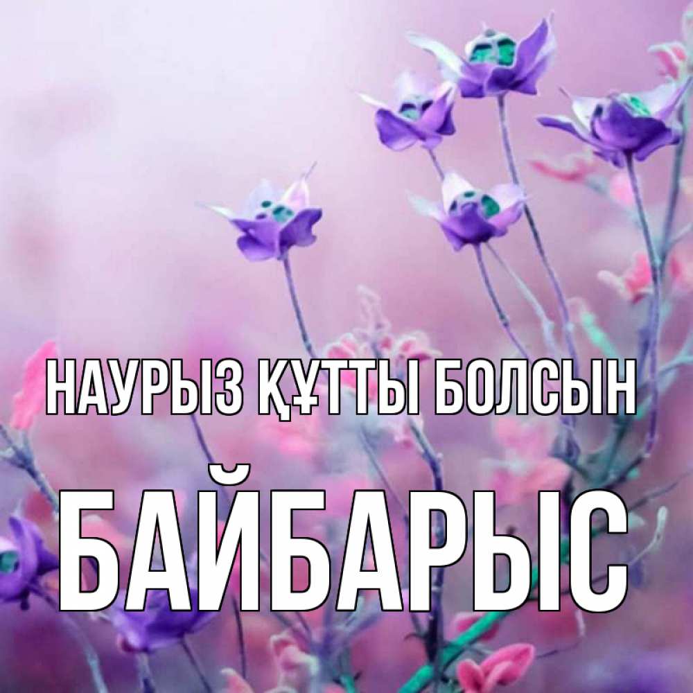 Күн сайын ашық хат с именем, Байбарыс Наурыз құтты болсын наурыз  2 Онлайн тегін жүктеп алу тілектері бар керемет карта 