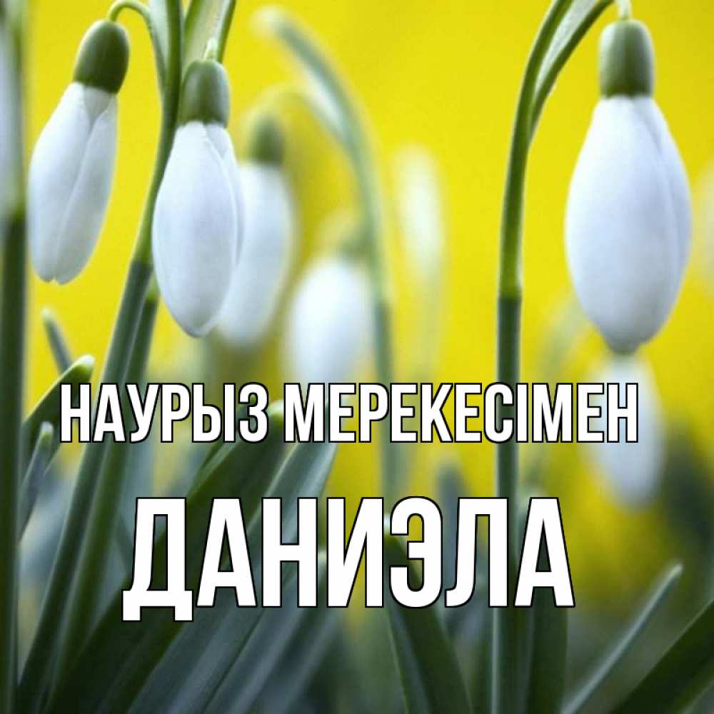Күн сайын ашық хат с именем, Даниэла Наурыз мерекесімен весенние цветы Онлайн тегін жүктеп алу тілектері бар керемет карта 