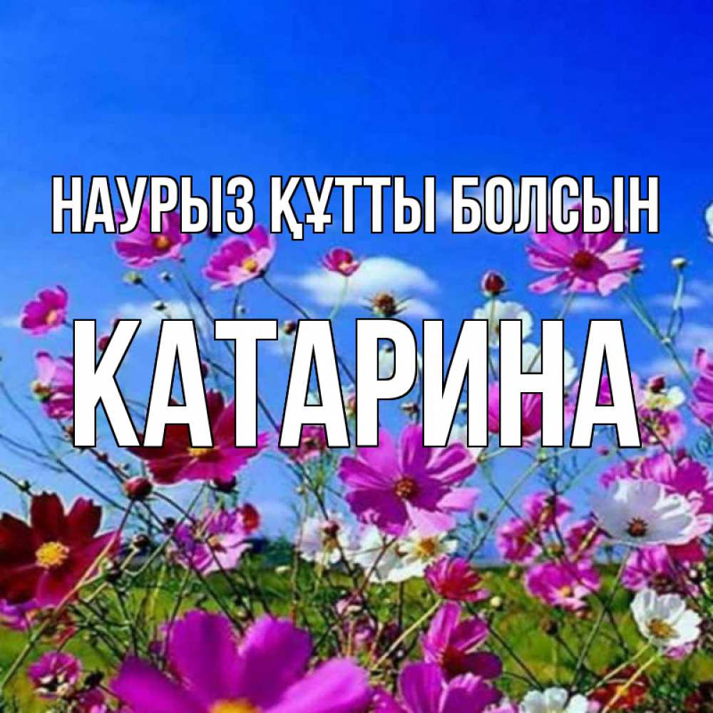 Күн сайын ашық хат с именем, Катарина Наурыз құтты болсын цветы Онлайн тегін жүктеп алу тілектері бар керемет карта 