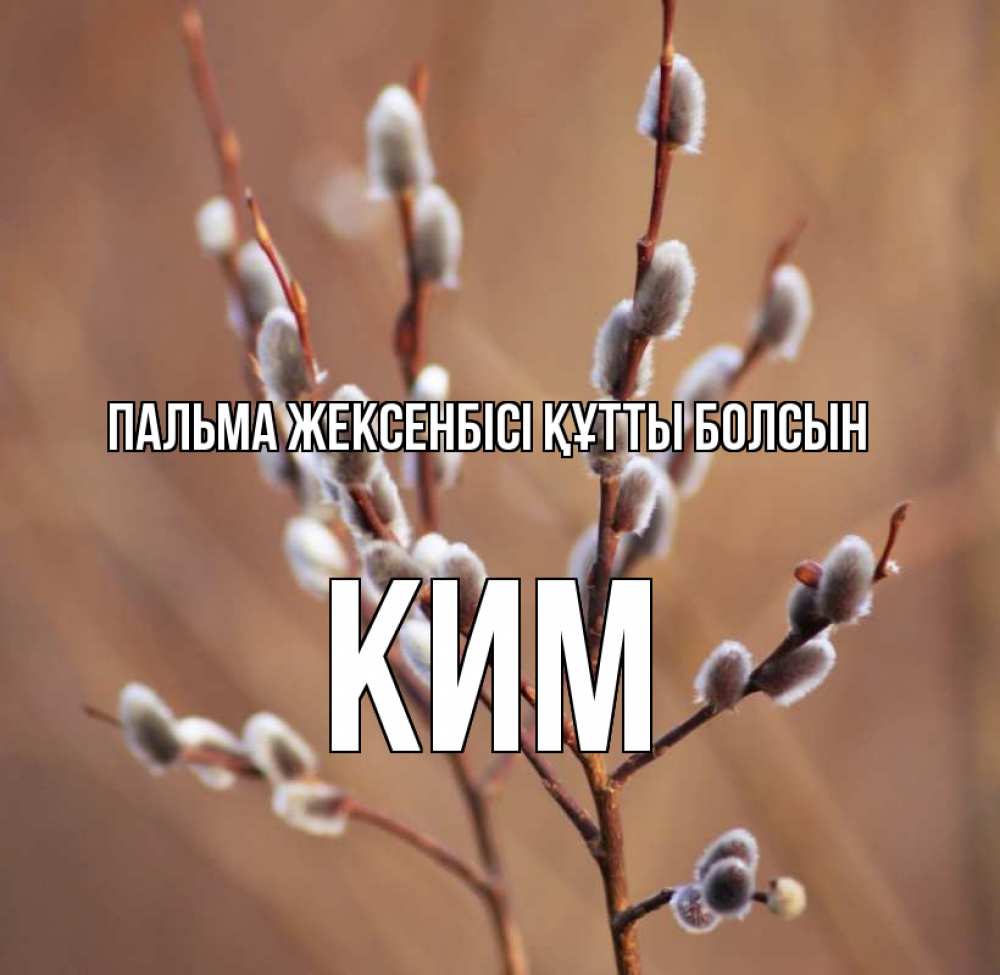 Күн сайын ашық хат с именем, Ким Пальма жексенбісі құтты болсын верба Онлайн тегін жүктеп алу тілектері бар керемет карта 