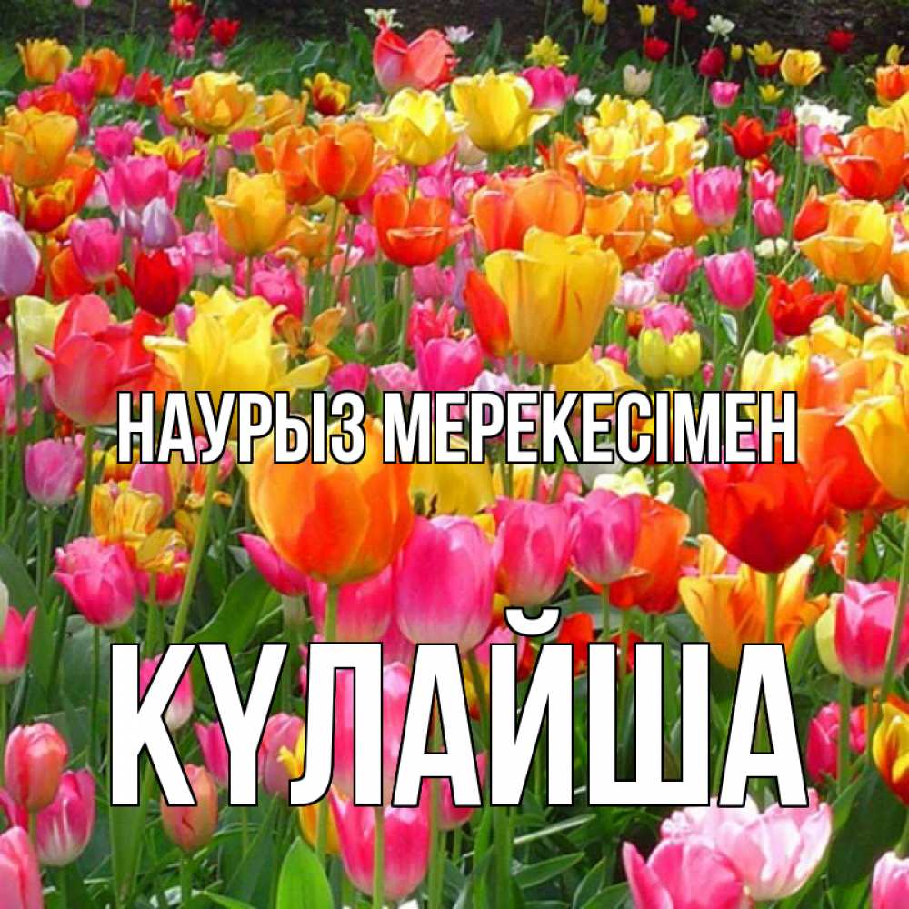 Күн сайын ашық хат с именем, КҮЛАЙША Наурыз мерекесімен праздник весны наурыз 4 Онлайн тегін жүктеп алу тілектері бар керемет карта 