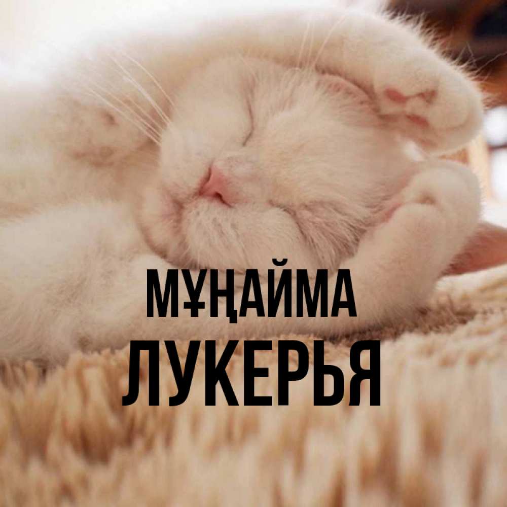 Күн сайын ашық хат с именем, Лукерья Мұңайма Котенок спит Онлайн тегін жүктеп алу тілектері бар керемет карта 