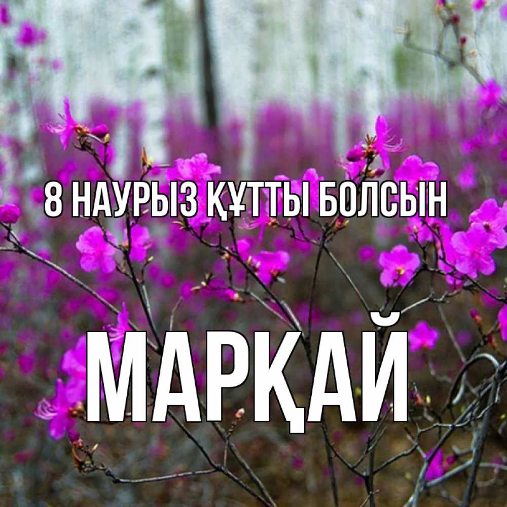 Күн сайын ашық хат с именем, МАРҚАЙ 8 наурыз құтты болсын дикие цветы Онлайн тегін жүктеп алу тілектері бар керемет карта 