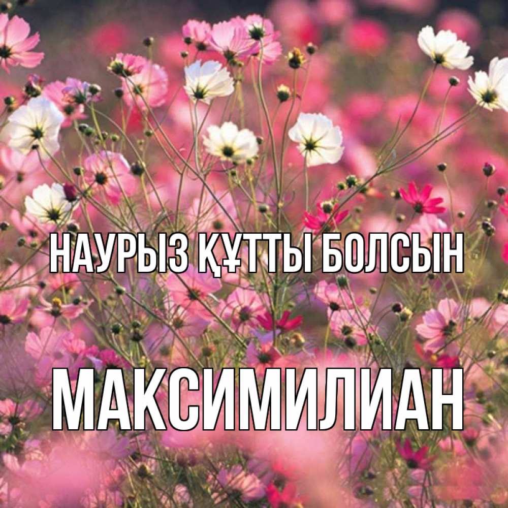 Күн сайын ашық хат с именем, Максимилиан Наурыз құтты болсын красиво 1 Онлайн тегін жүктеп алу тілектері бар керемет карта 