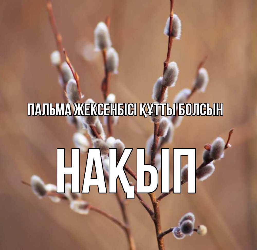 Күн сайын ашық хат с именем, НАҚЫП Пальма жексенбісі құтты болсын верба Онлайн тегін жүктеп алу тілектері бар керемет карта 